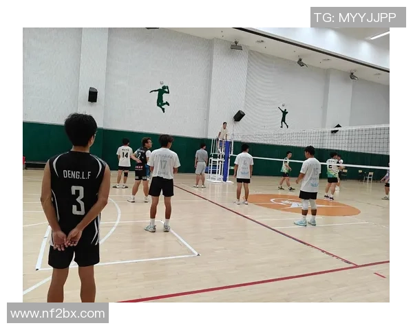 杭州排球队的奋斗与荣耀：一段不平凡的排球纪实之旅